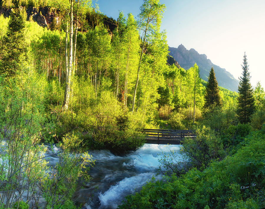 Rocky Mountain River Photograph by OLena Art by Lena Owens - Vibrant DESIGN