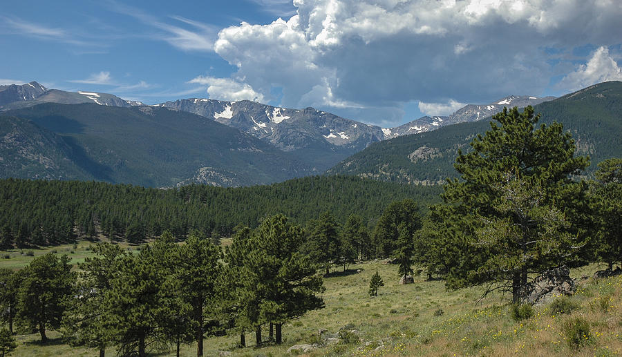 Rocky Mountain Scenic Photograph by David Drew