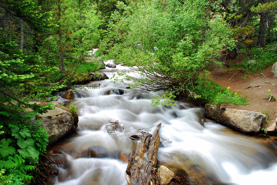 Rocky Mountain Stream Photograph by Gregory Ballos