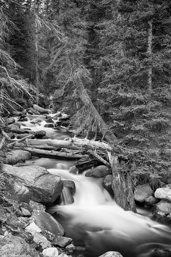 Rocky Mountain Stream in Black and White Photograph by James BO Insogna