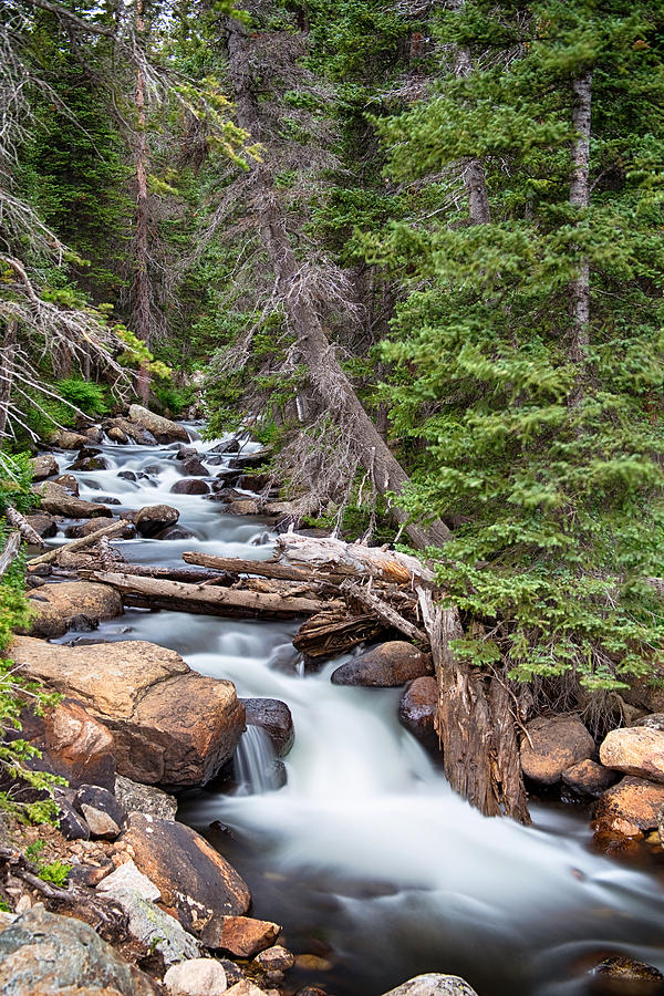 Waterfall Photograph - Rocky Mountain Stream by James BO Insogna