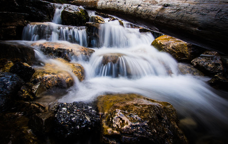 Rocky Mountain Stream Photograph by Russell Mann - Fine Art America