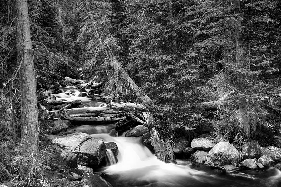 Waterfall Photograph - Rocky Mountain Stream Scenic Landscape BW by James BO Insogna