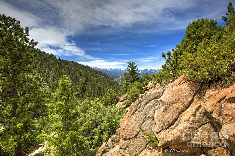 Colorado Rocky Mountain Top Photograph by D Wallace