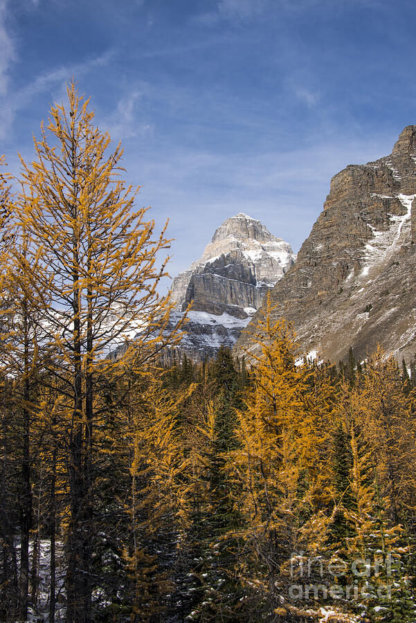 Rocky Mountain Valley Photograph by Bob Phillips - Fine Art America