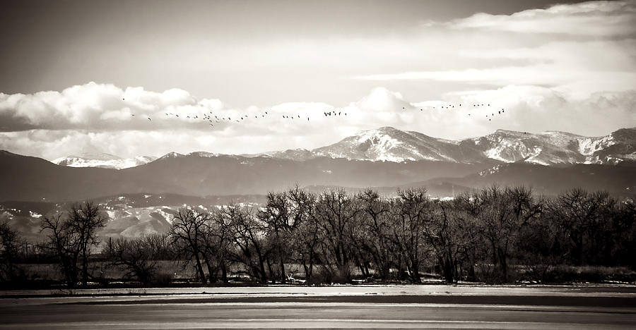 Rocky Mountain Winter Vista Photograph by Marilyn Hunt