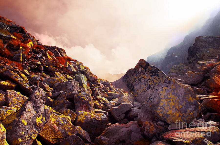 Rocky mountains landscape Photograph by Michal Bednarek