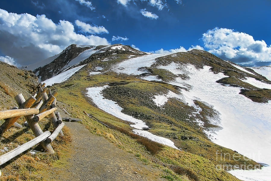 Rocky Mountains Path Photograph by Olivier Le Queinec
