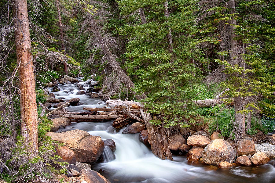 Rocky Mountains Stream Scenic Landscape  Photograph by James BO Insogna