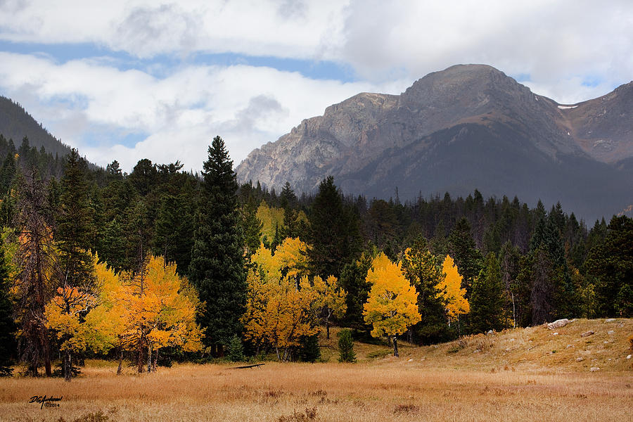 Rocky Mountian Aspens Photograph by Don Anderson