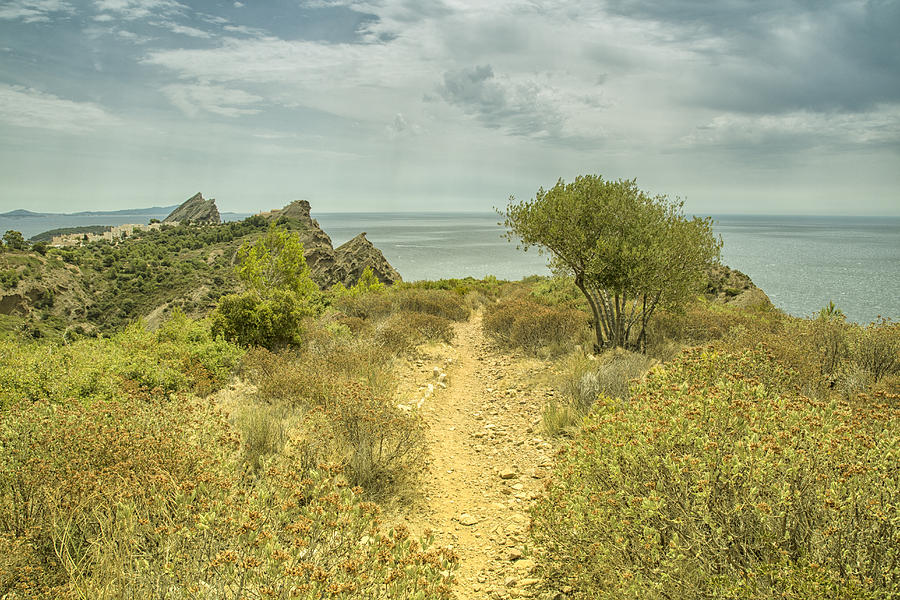 Rocky Path to the Sea Photograph by Georgia Fowler