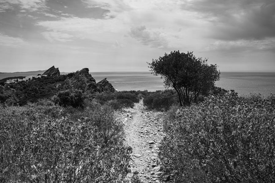 Rocky Path to the Sea in Mono Photograph by Georgia Clare
