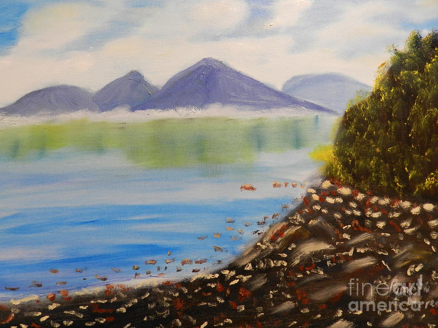 Impressionism Painting - Rocky River Tasmania  by Pamela  Meredith