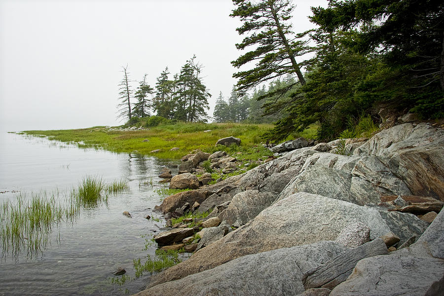 Rocky Shore by the Narrows to Mount Desert Island Photograph by Randall Nyhof