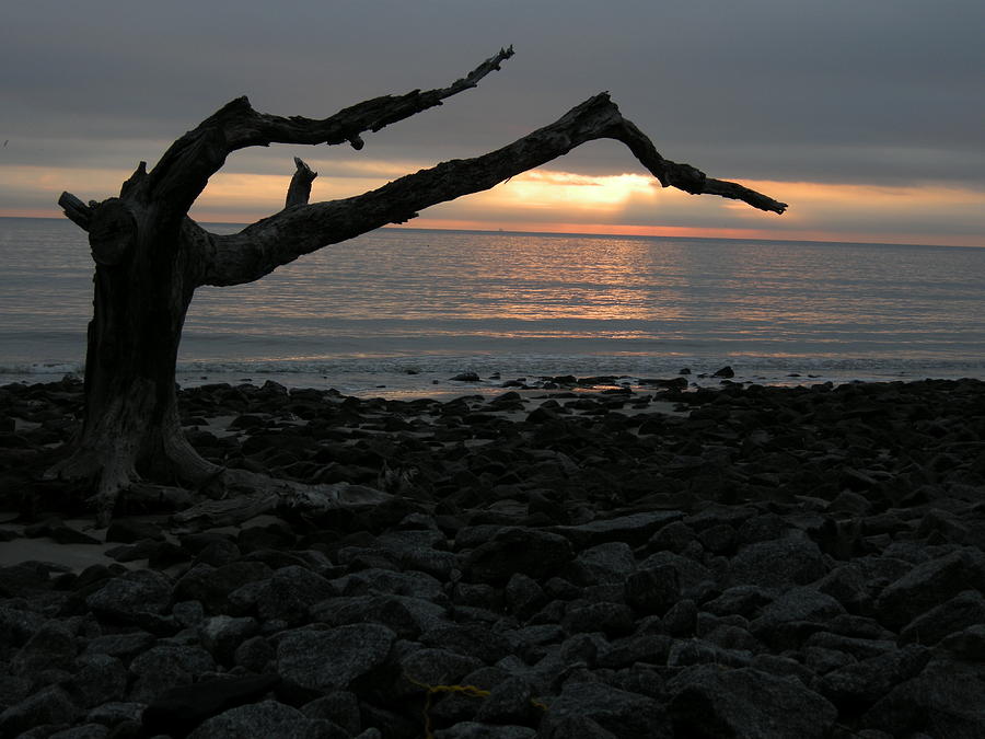 Rocky Shore Photograph by Jenny Fish - Fine Art America