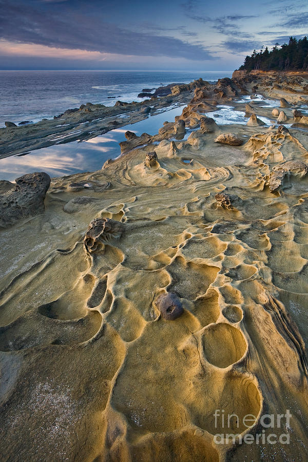 Rocky Shore Photograph by Sean Bagshaw