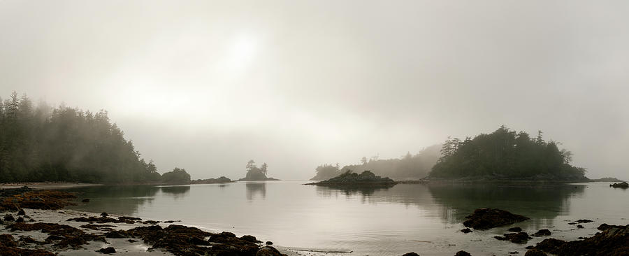 Rocky Shoreline On Foggy Morning Photograph by Stuart Mccall