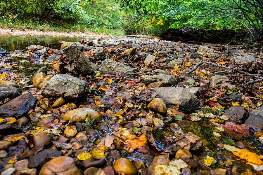 Fallen Leaves Photograph - Rocky Stream by Kathy Liebrum Bailey