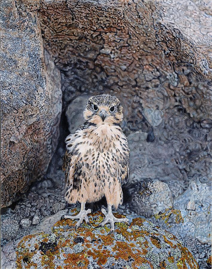 Rocky Painting by Terry Bungard
