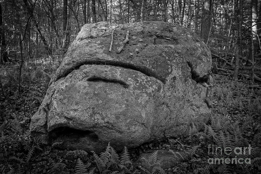 Rocky the Boulder Westbrook Connecticut Photograph by Edward Fielding