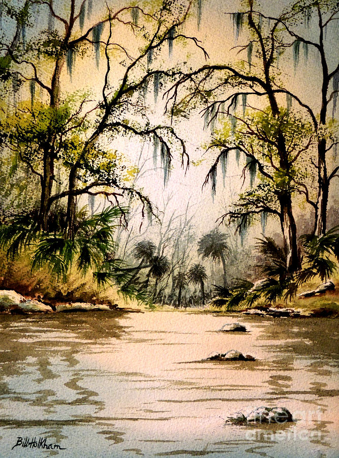 Wildlife Painting - Rocky Waters - Econfina River by Bill Holkham