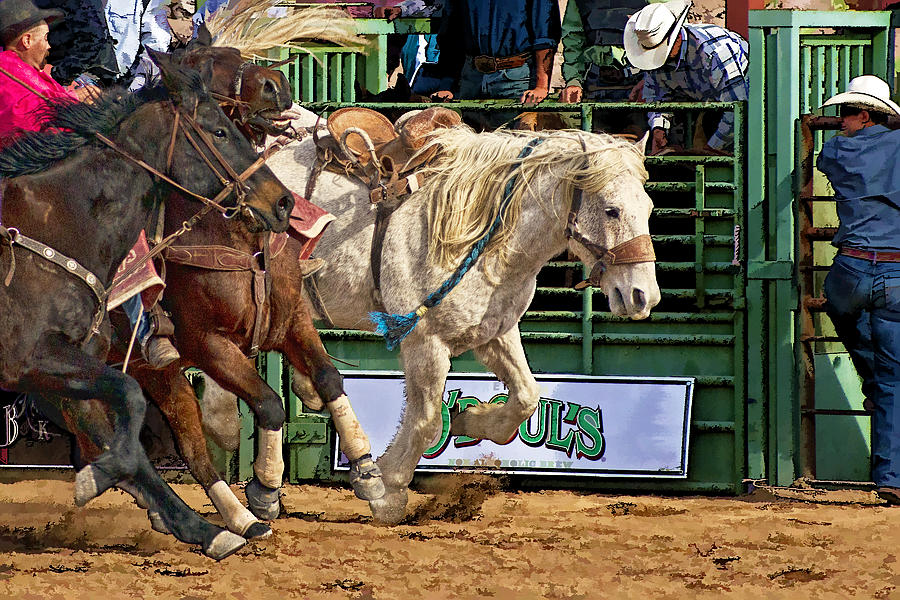 Horse Photograph - Rodeo Action by Priscilla Burgers