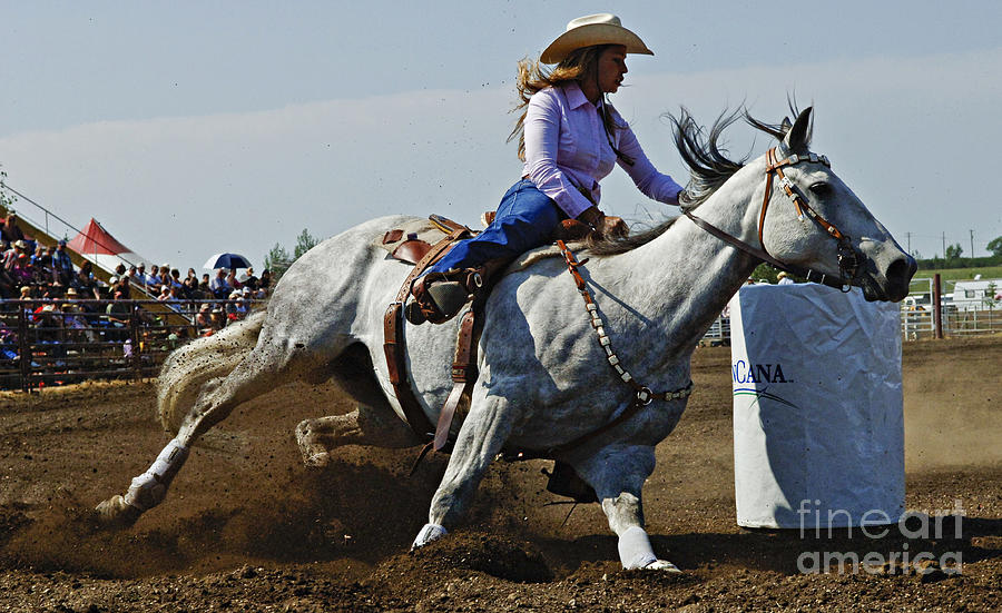 Rodeo Barrel Racer Photograph by Bob Christopher