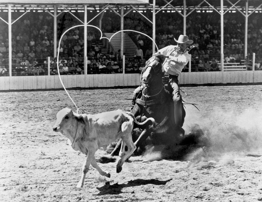 Rodeo Calf Roping Photograph by Underwood Archives