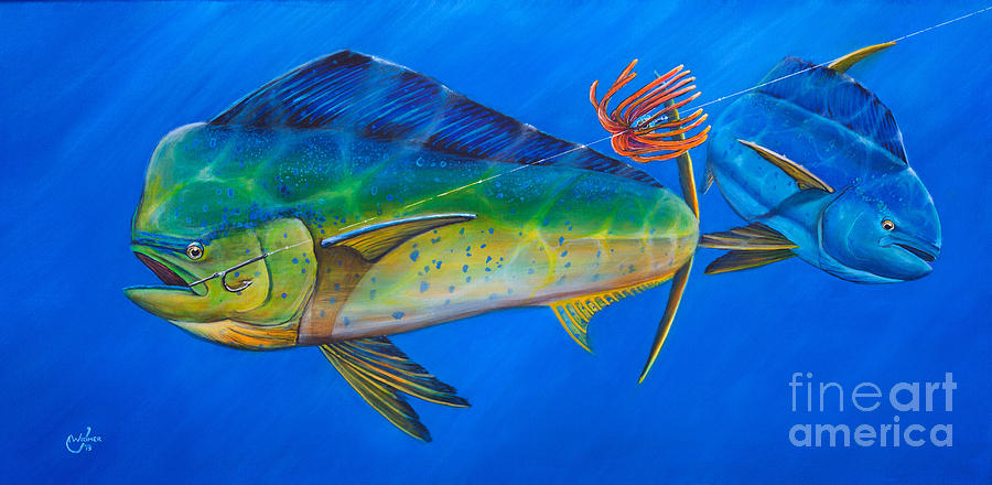Fish Painting - Rodeo Clown by Johnny Widmer