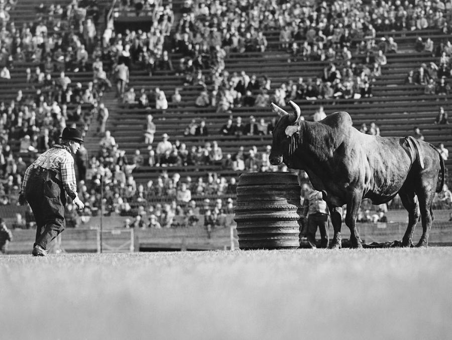 Rodeo Clown Watches Bull Photograph by Otto Rothschild