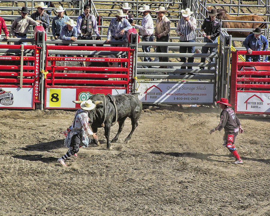 Rodeo Clowns at work Photograph by Ron Roberts