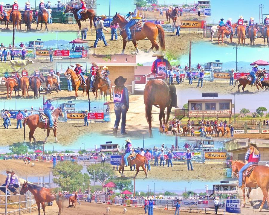 Rodeo Collage Photograph by Marilyn Diaz