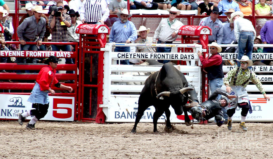 Rodeo Cowboy 2 Photograph by Jennifer Camp