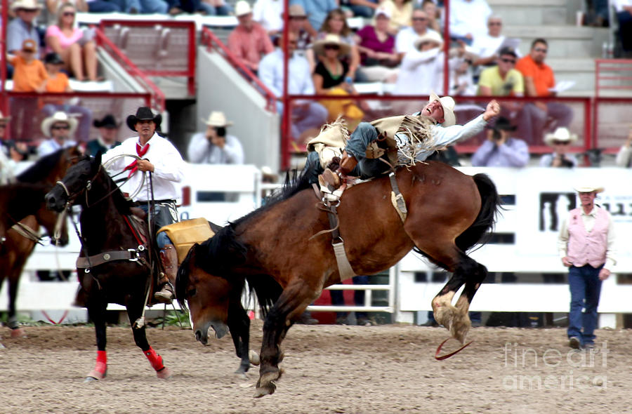 Rodeo Cowboy Photograph by Jennifer Camp