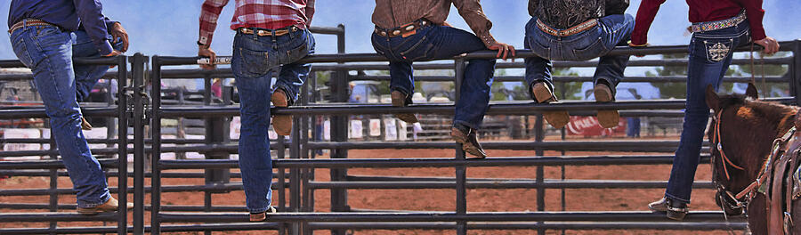 Rodeo Fence Sitters Photograph by Priscilla Burgers