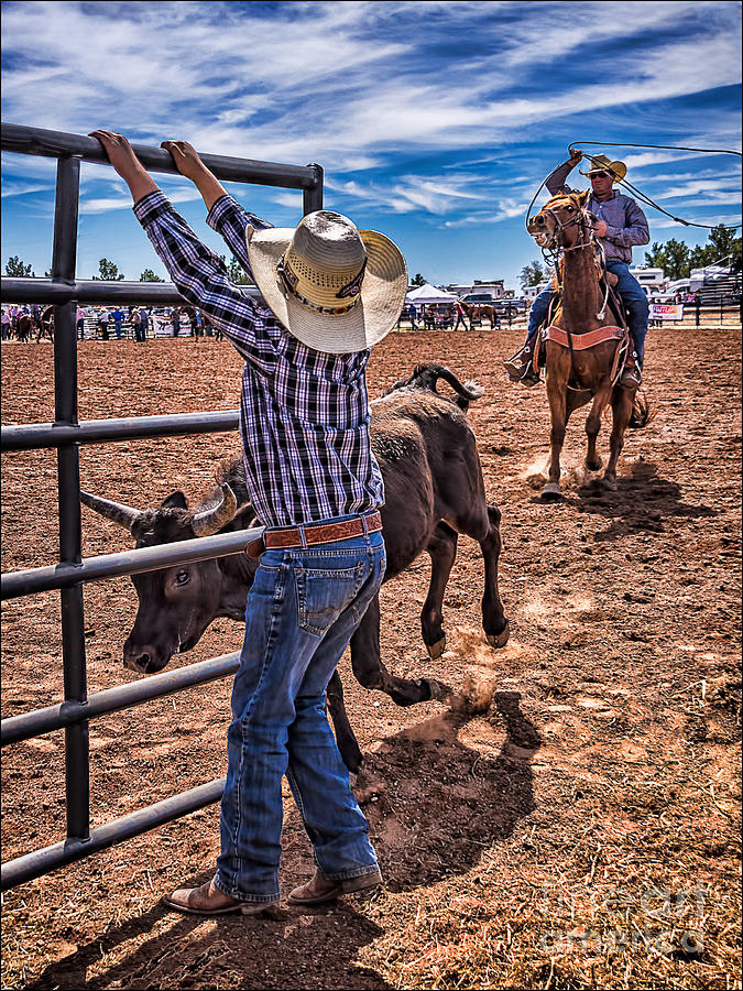 Sports Photograph - Rodeo Gate Keeper by Priscilla Burgers