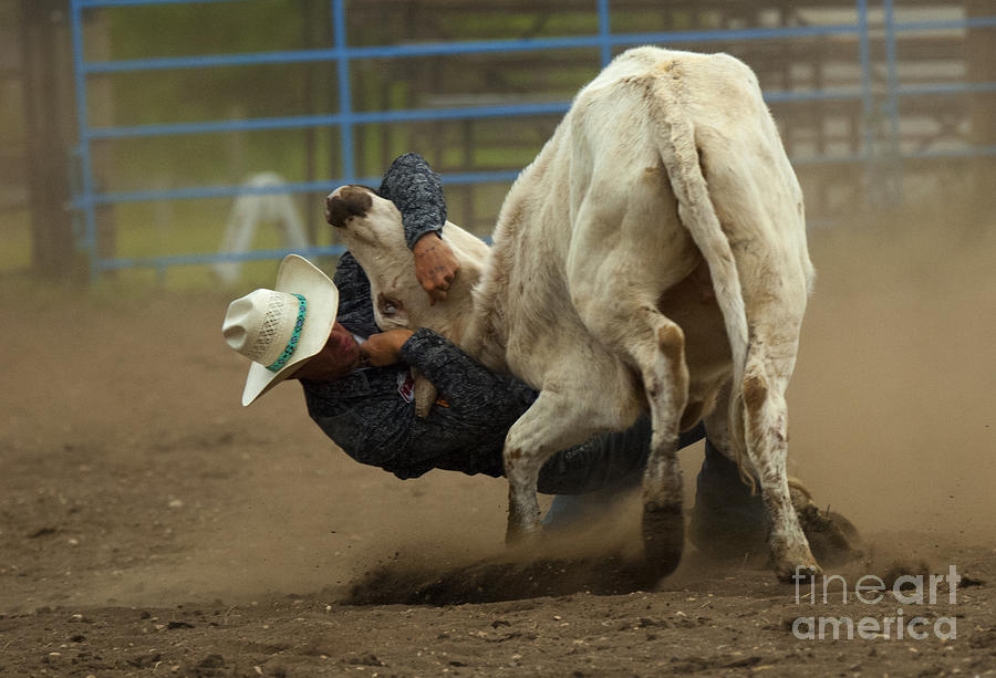 Rodeo Gettin Down Photograph by Bob Christopher
