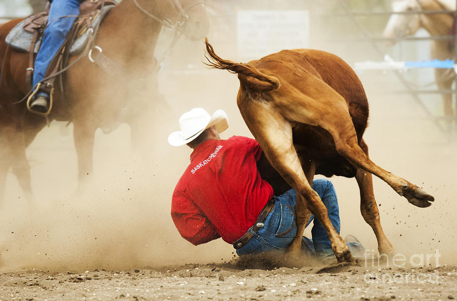 Horse Photograph - Rodeo Getting It Done by Bob Christopher