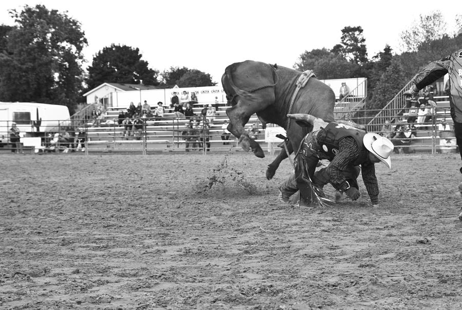 Rodeo Photograph by Nick Mares