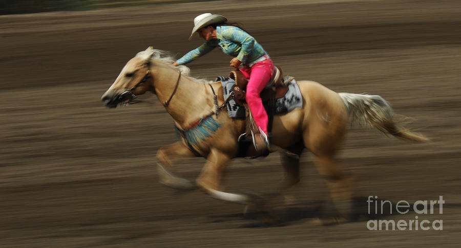 Horse Photograph - Rodeo Riding A Hurricane 2 by Bob Christopher