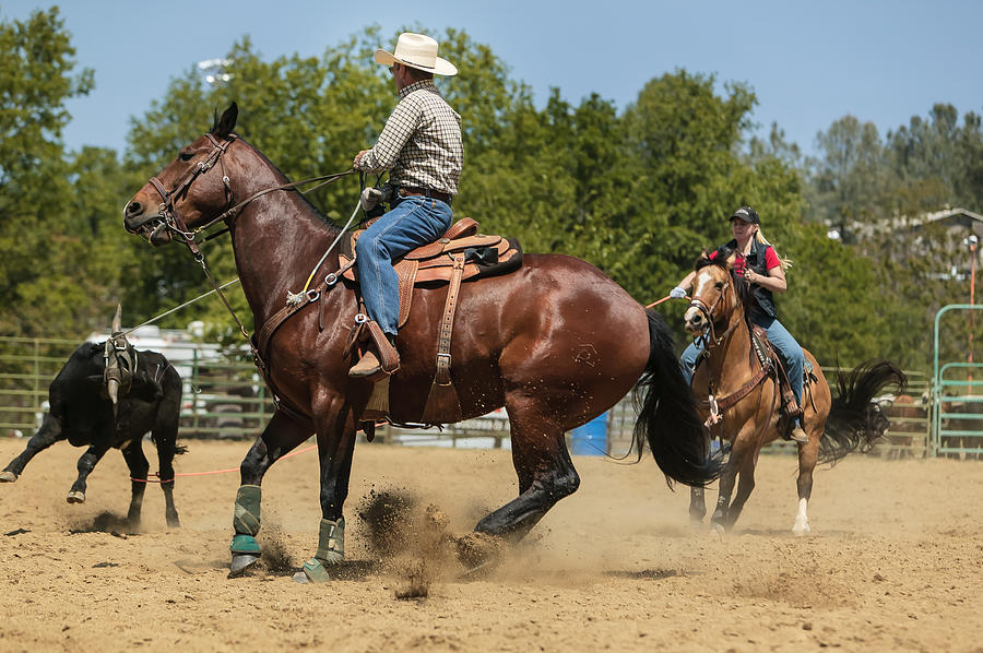 Rodeo Roping Photograph by Henry Inhofer