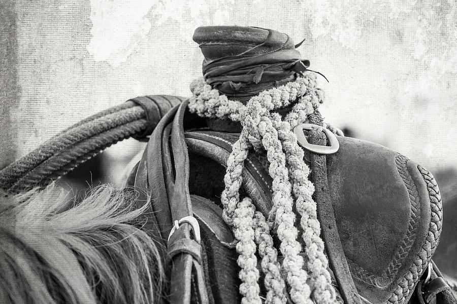 Rodeo Saddle Vintage Photograph