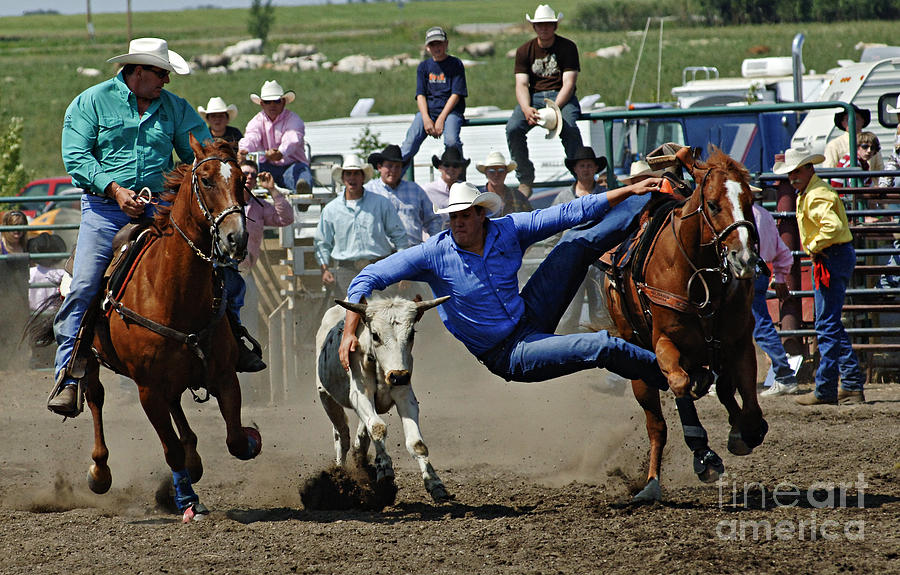 Rodeo Steer Wrestling Photograph by Bob Christopher