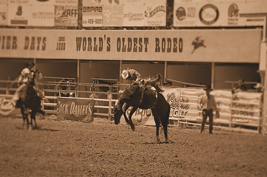 Horse Photograph - Rodeo  by Stormys Unique   Creations