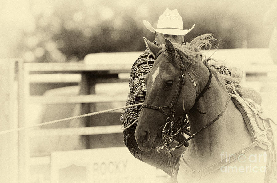 Rodeo The Cowboy Way Photograph by Bob Christopher