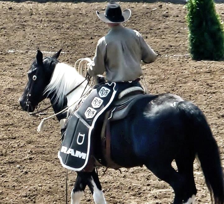 Rodeo Time Cowboy Black Horse Photograph by Susan Garren