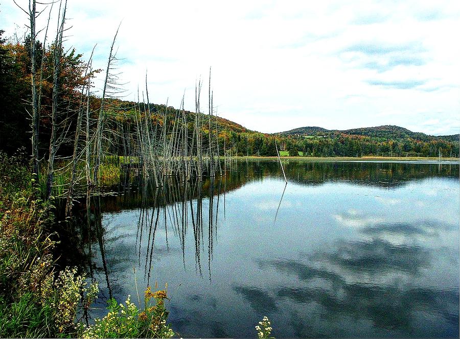 Rodgers Pond Photograph by John Nielsen