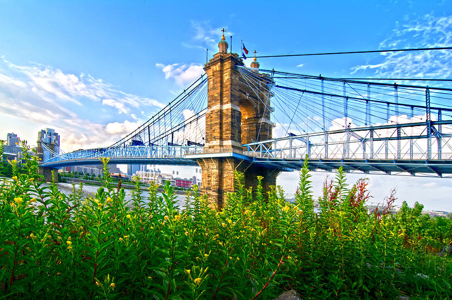 Roebling Bridge and Flowers Photograph by Randall Branham