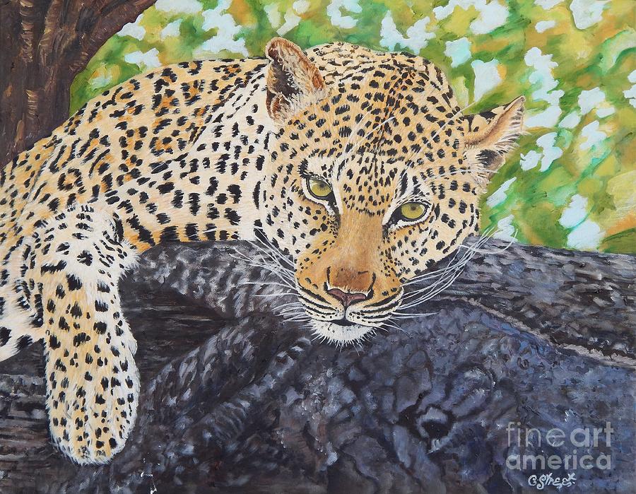 Cat Painting - Roelani the Leopard by Caroline Street