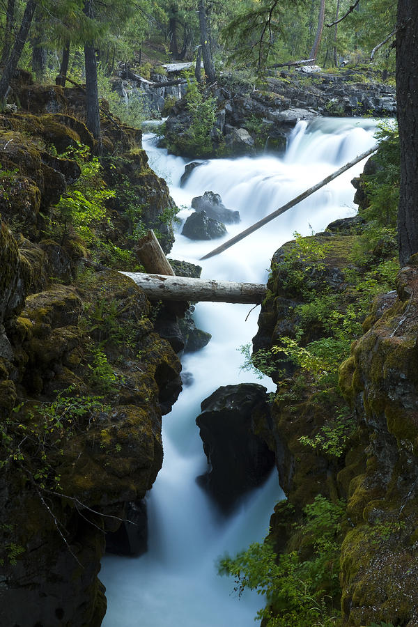 Nature Photograph - Rogue River Falls 1 by John Brueske